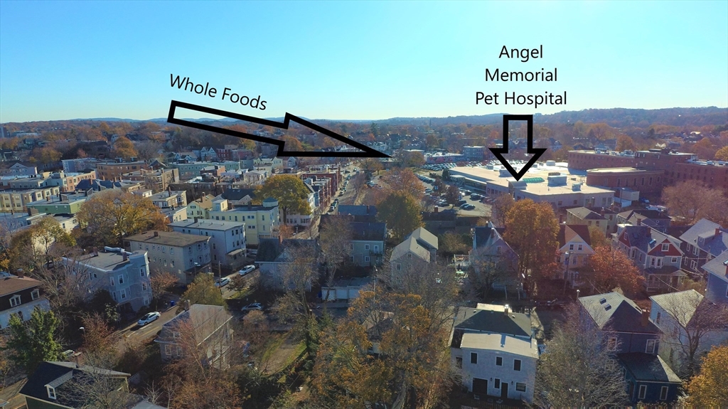 11 Arcola St, Jamaica Plain