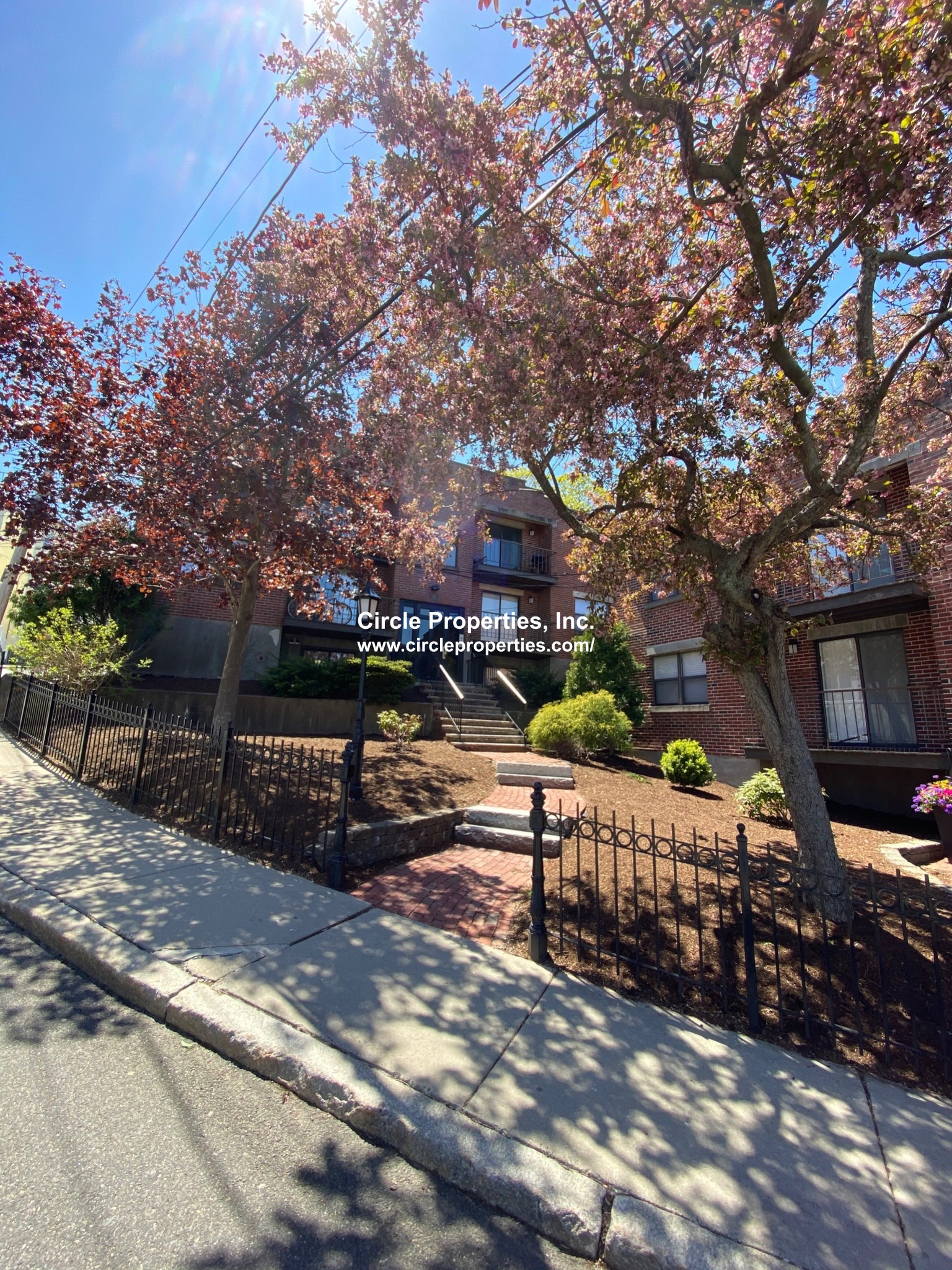 11 Darling St, Mission Hill