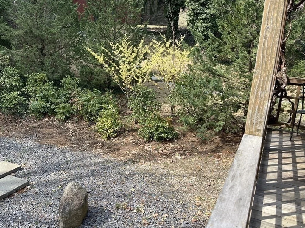 38 Cumberland Ave, High Street Hill