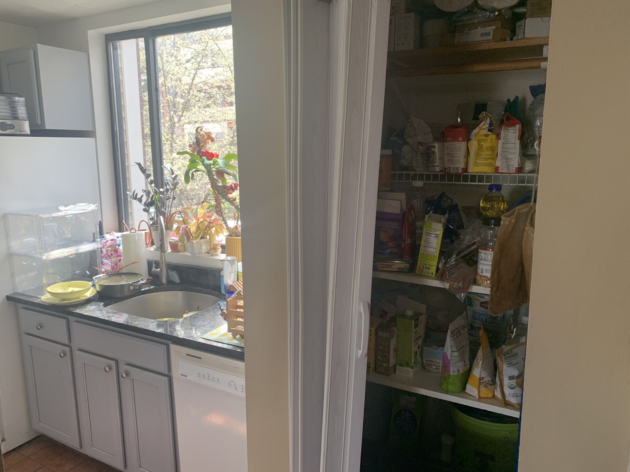 192 Allston St, Brighton