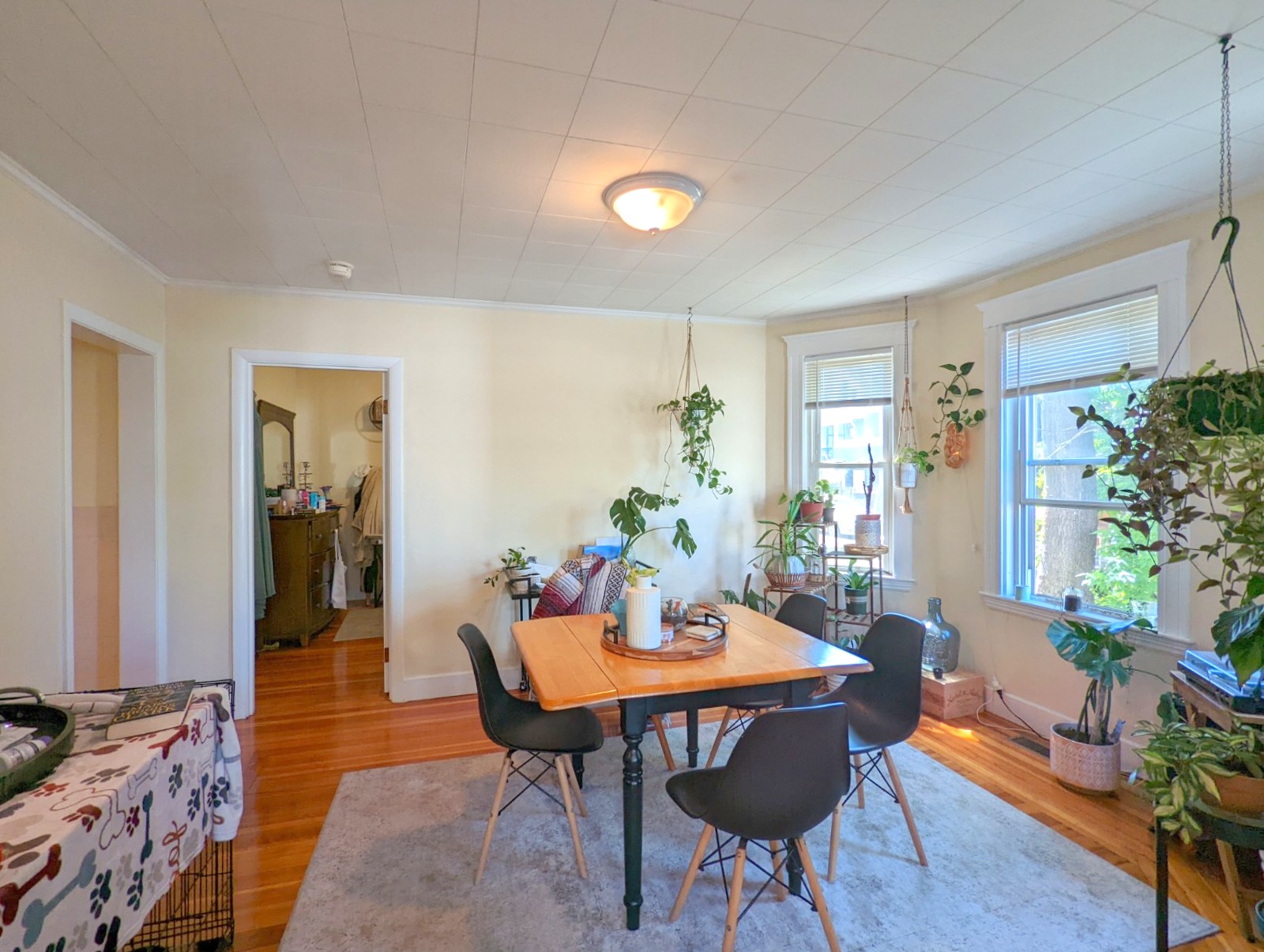 7 Belknap St, West Somerville