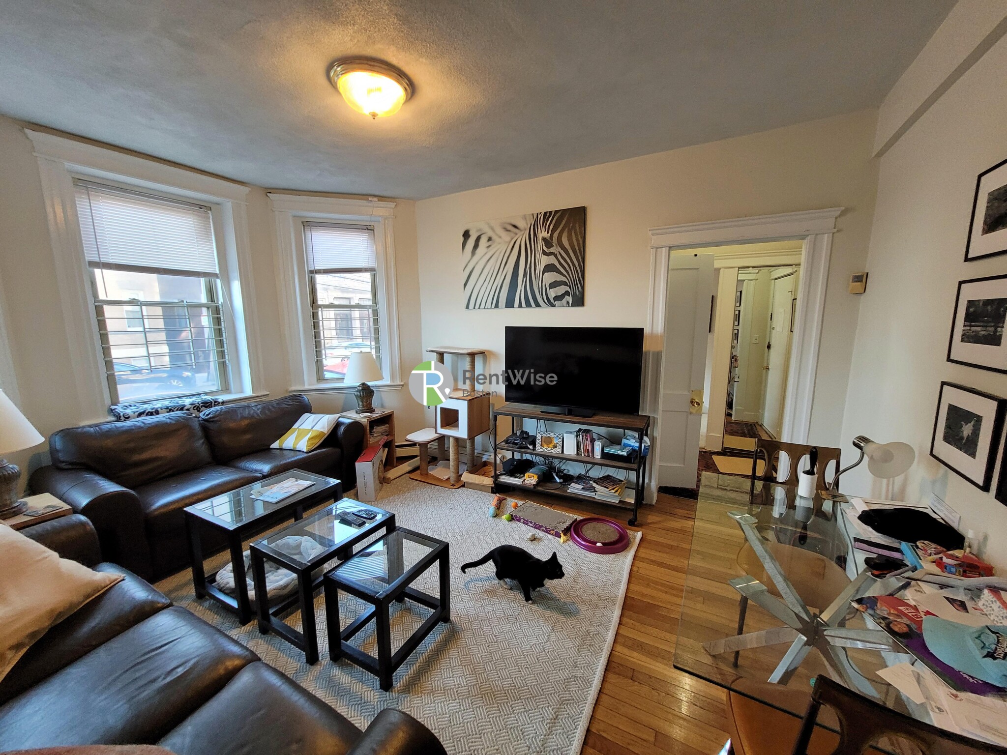 1677 Commonwealth Ave, Brighton