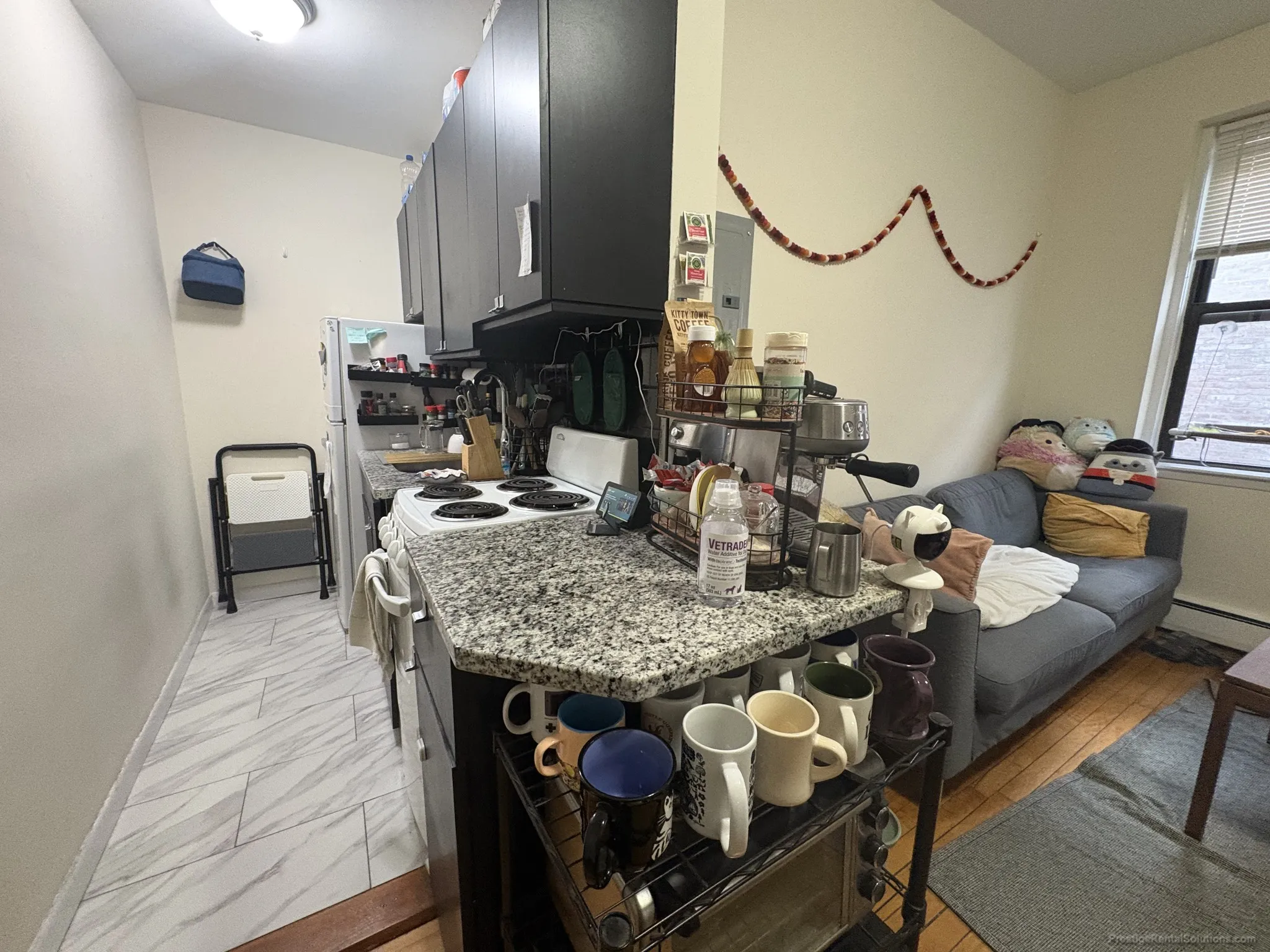 64 Brighton Ave, Brighton