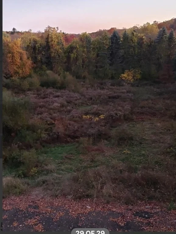 187 Beach St, Marlborough