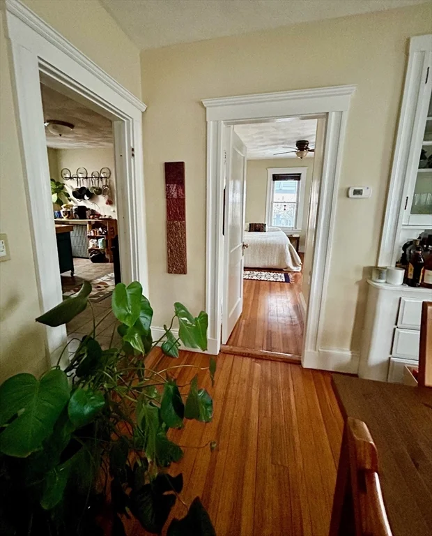 11 Heath, Somerville