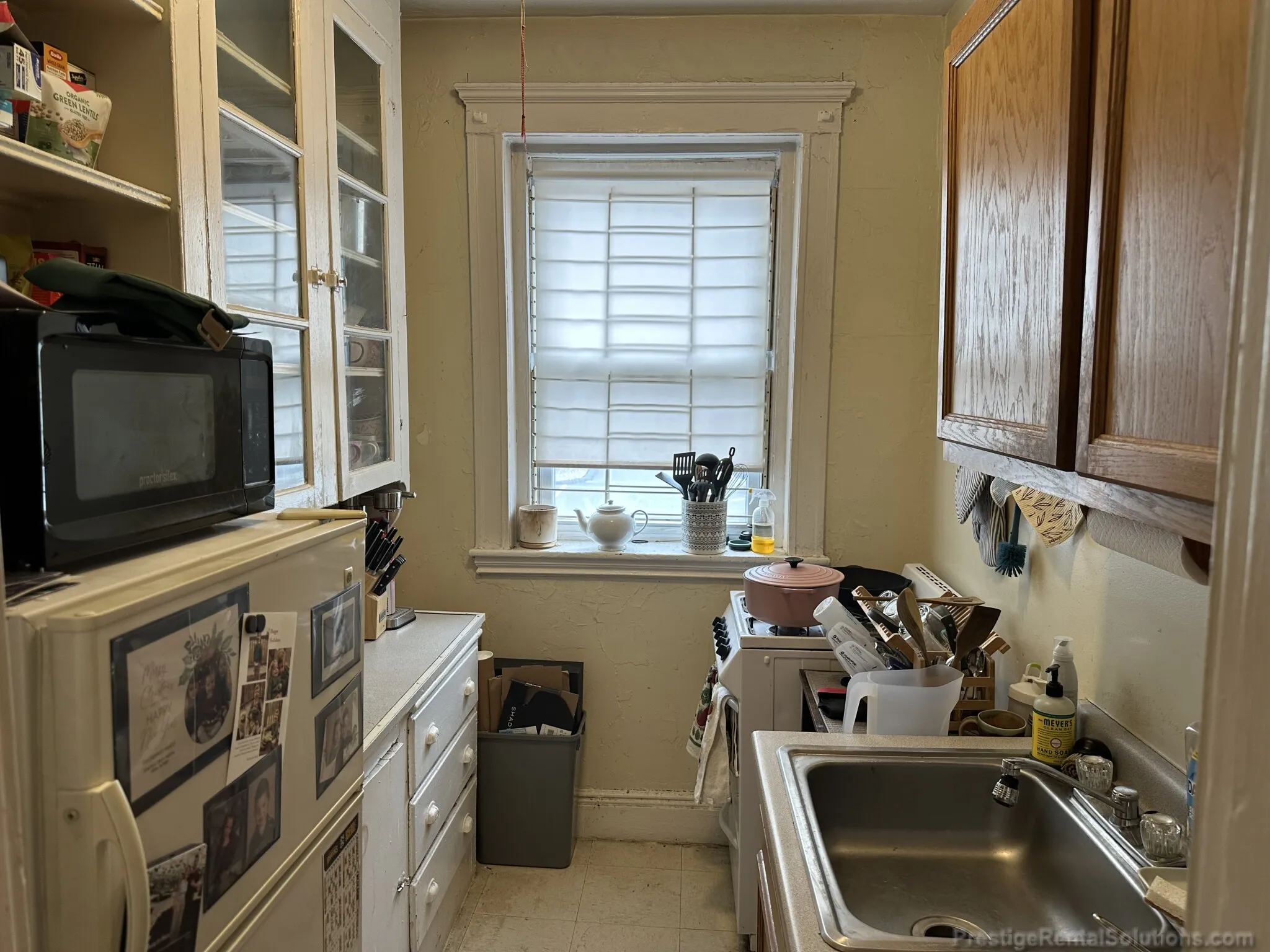 63 Woodstock Ave, Brighton