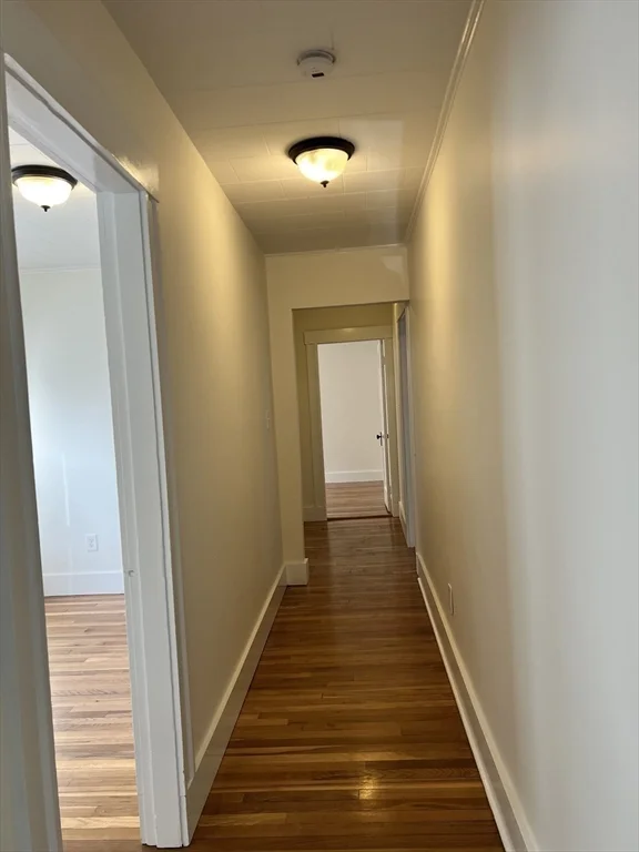 29 Harriet St, Brighton