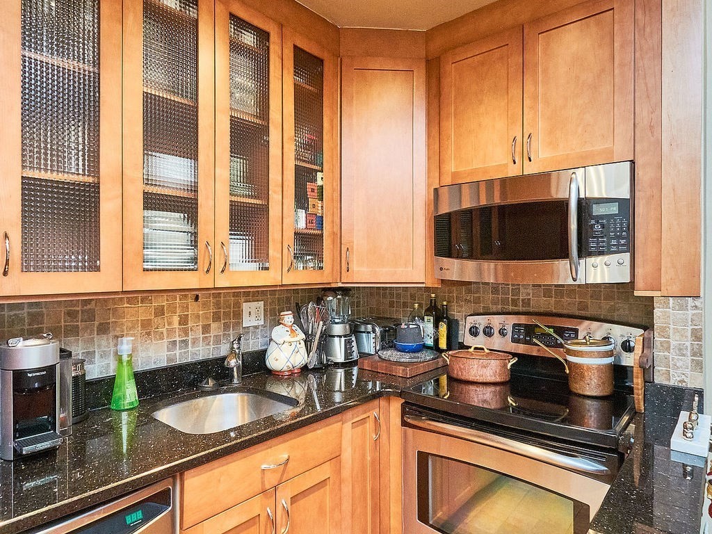 51 E Springfield, South End