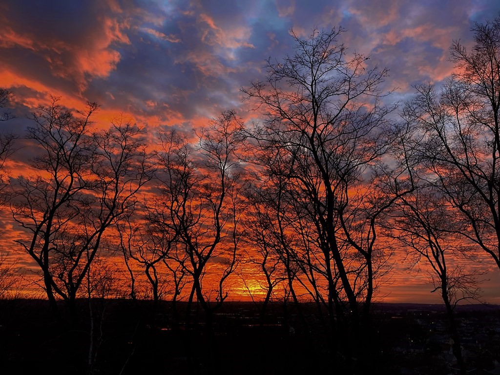 182 Palfrey St, Watertown