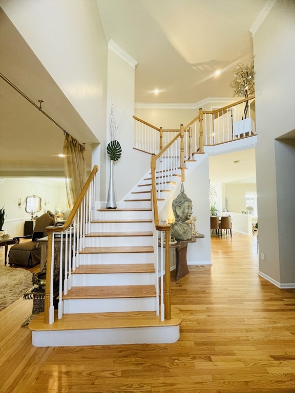 10 Sheryl Dr, Shrewsbury