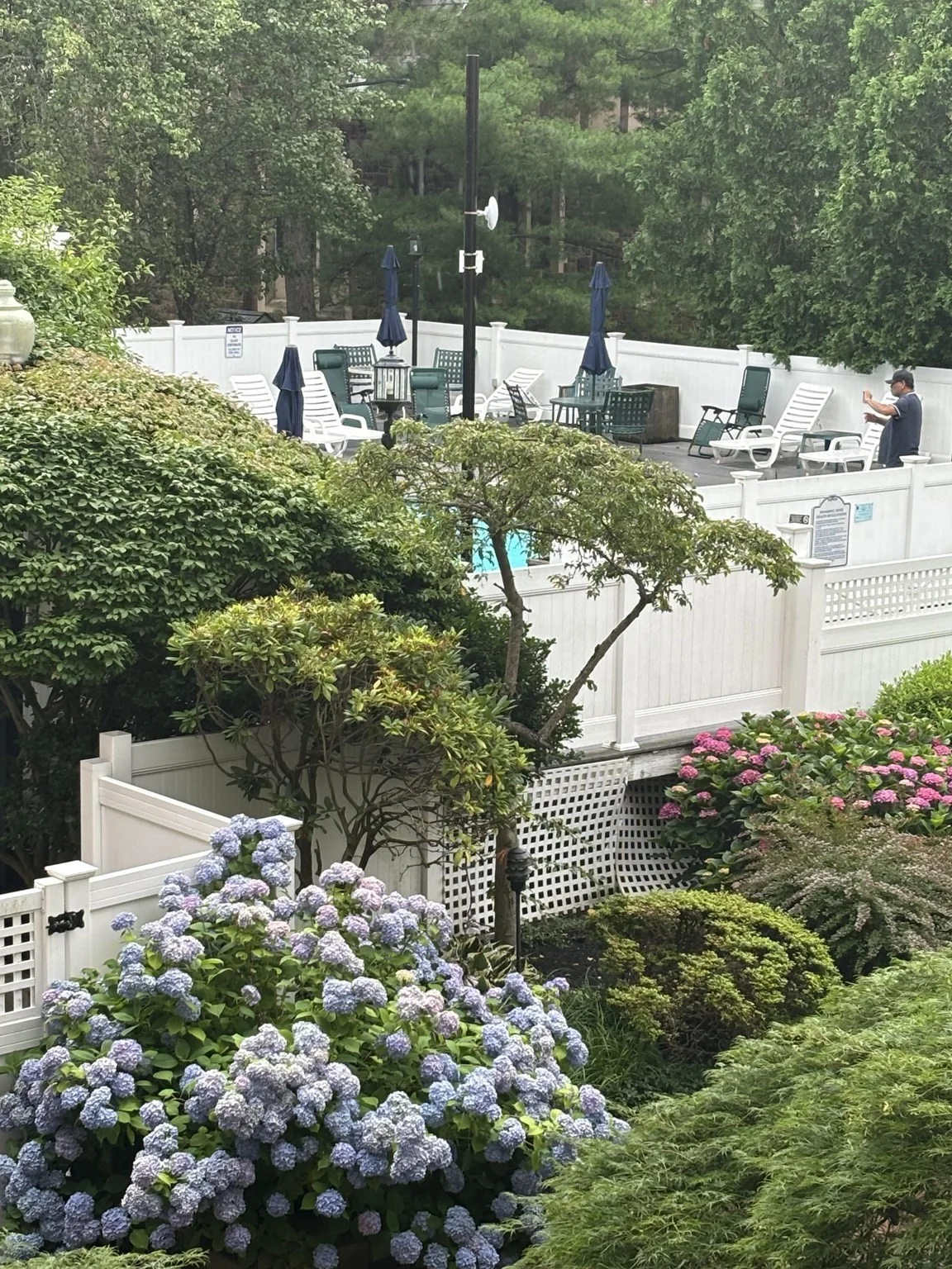 20 Webster St, Coolidge Corner