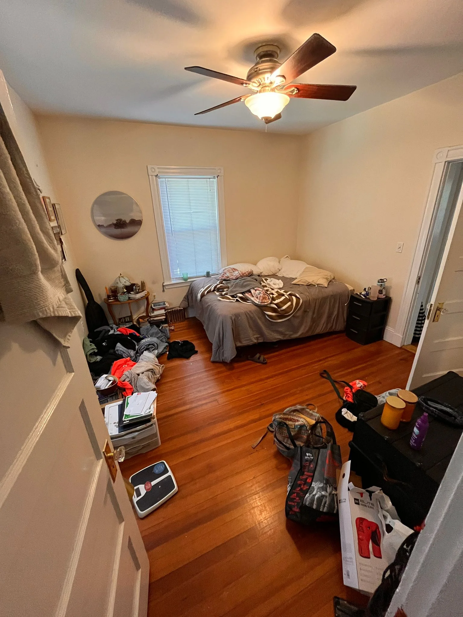 163 Belmont St, Belmont