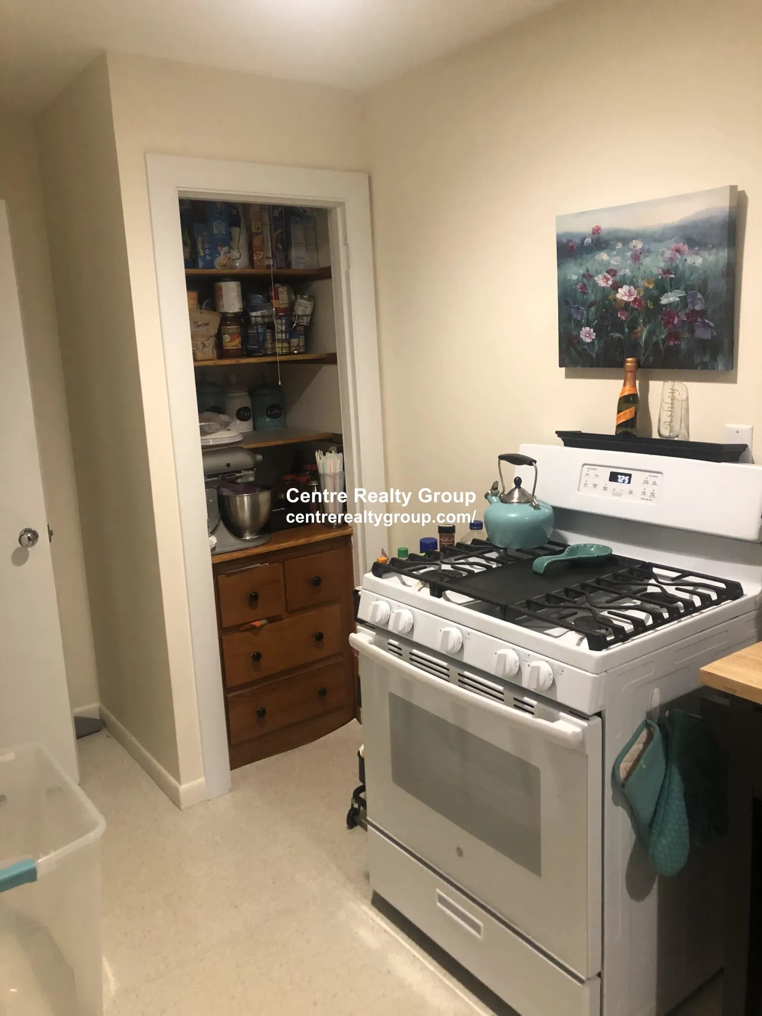 1024 Chestnut St, Newton Upper Falls