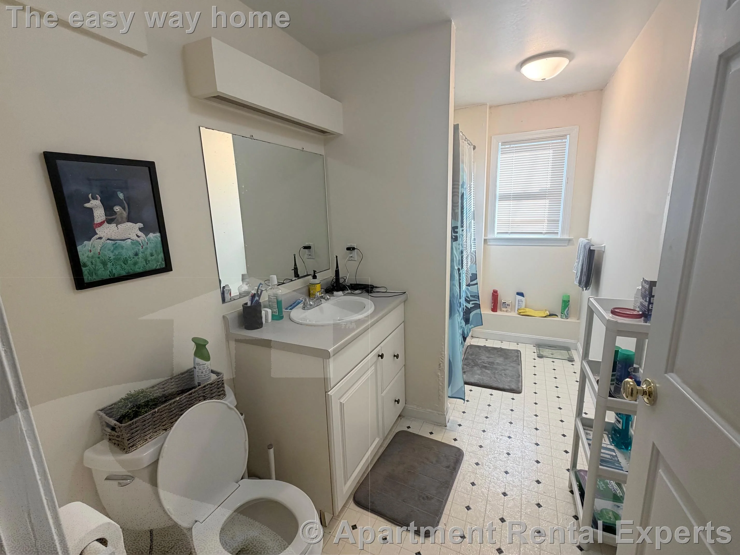 11 Kent Ct, Porter Square