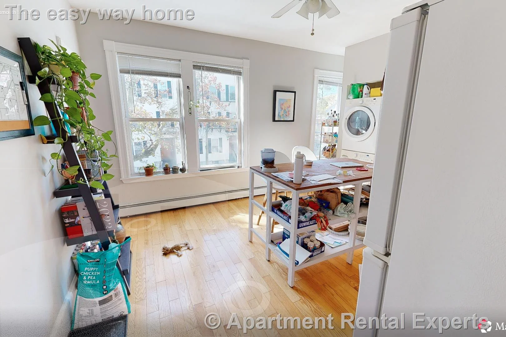 33 Portsmouth St, Kendall Square