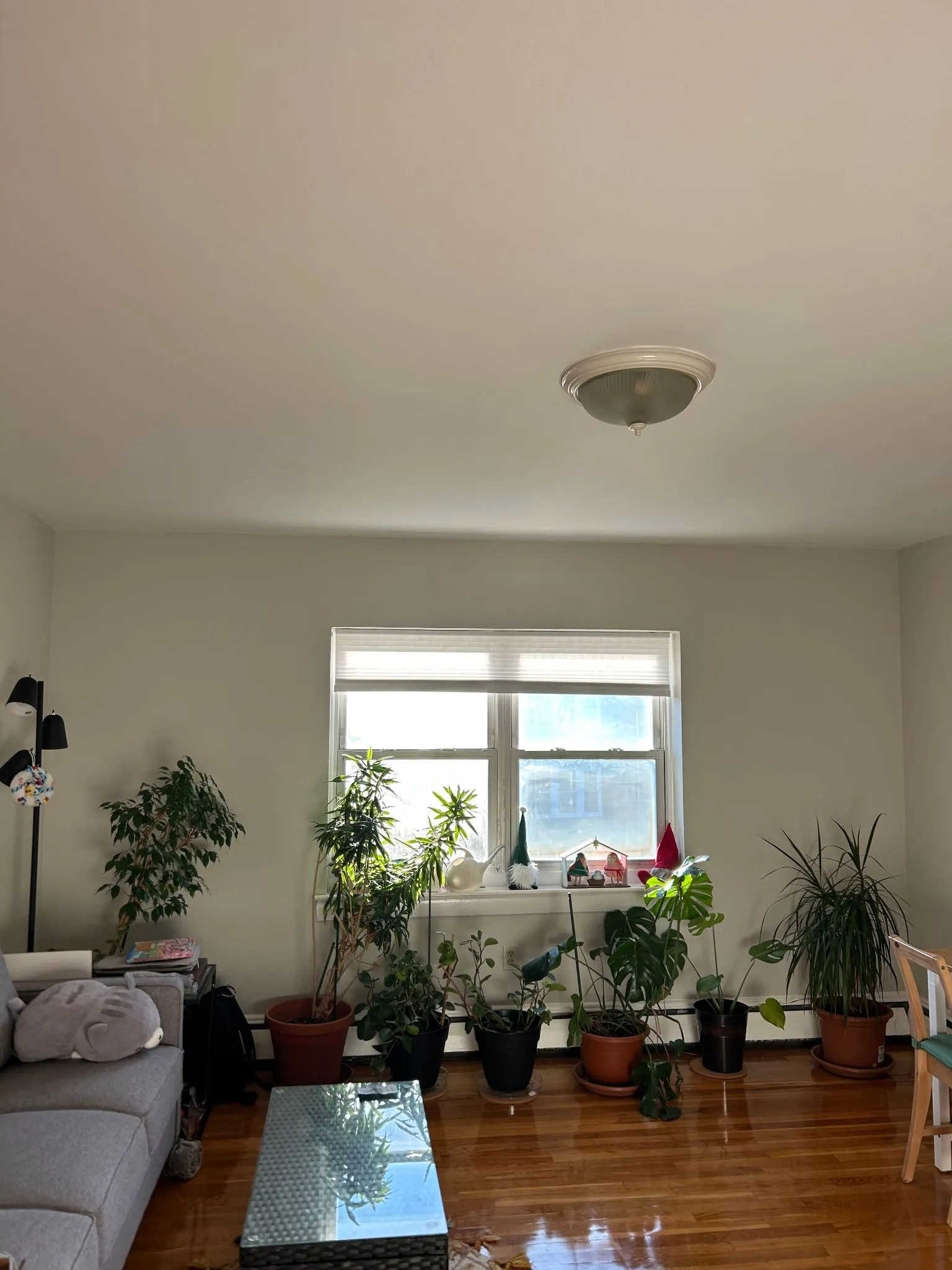 61 Selkirk Rd, Brighton