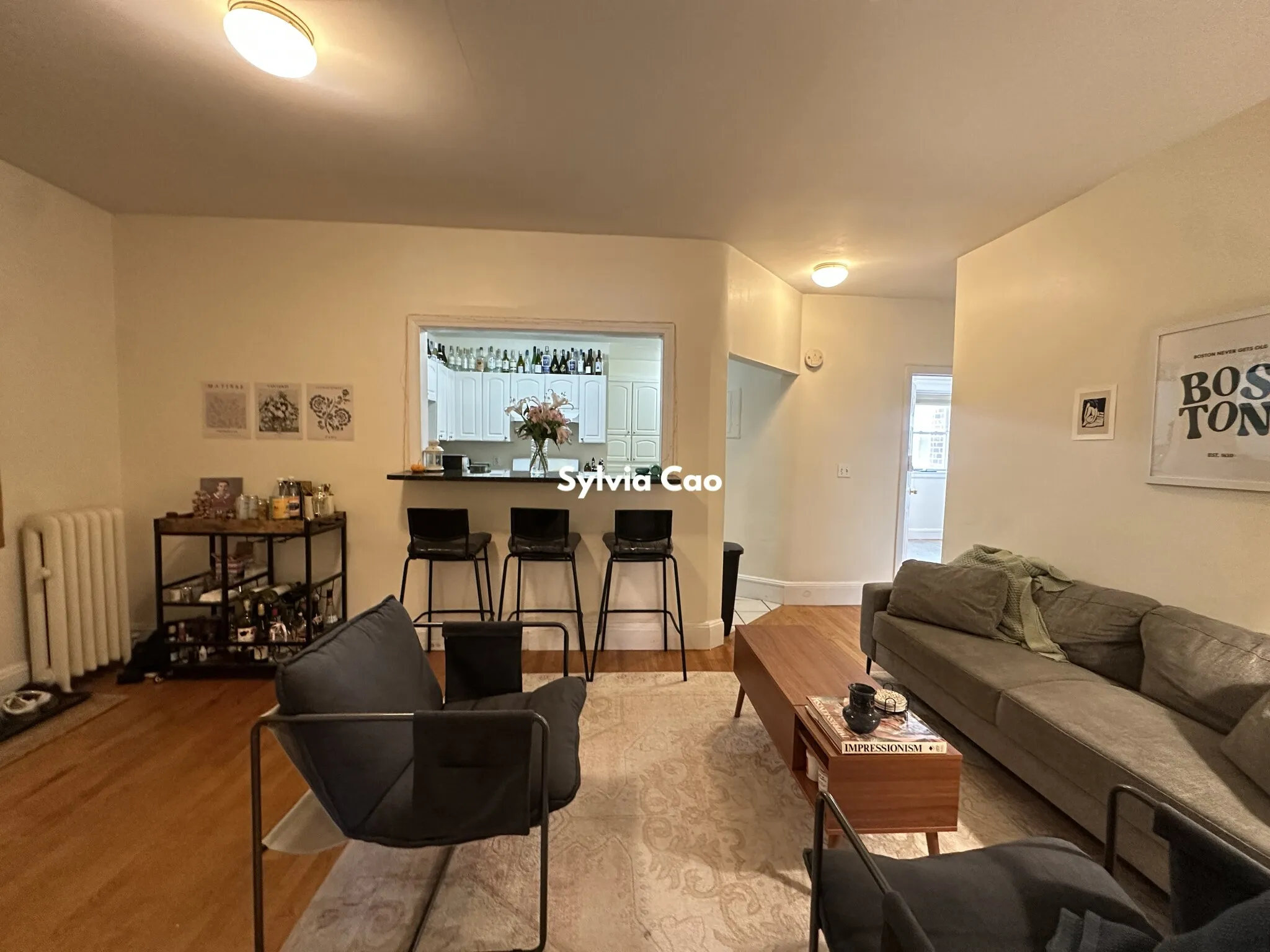 54 Egmont St, North Brookline