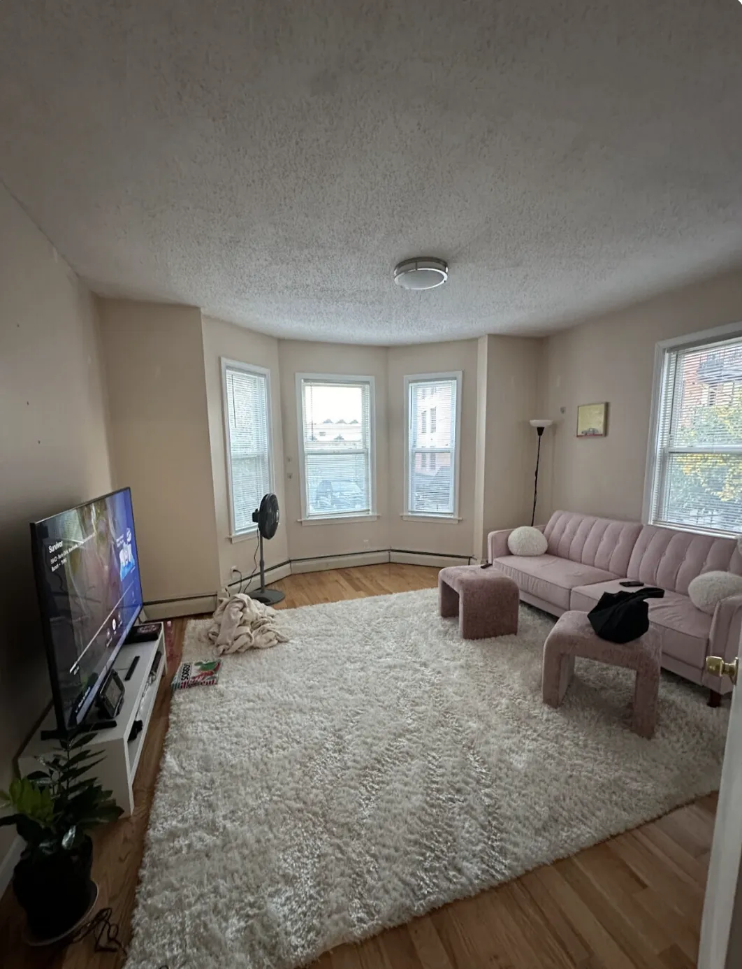 6 Bickford Ave, Mission Hill