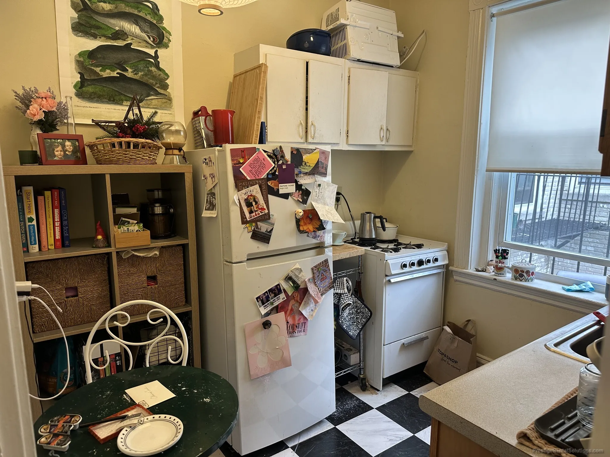 91 Gordon St, Brighton