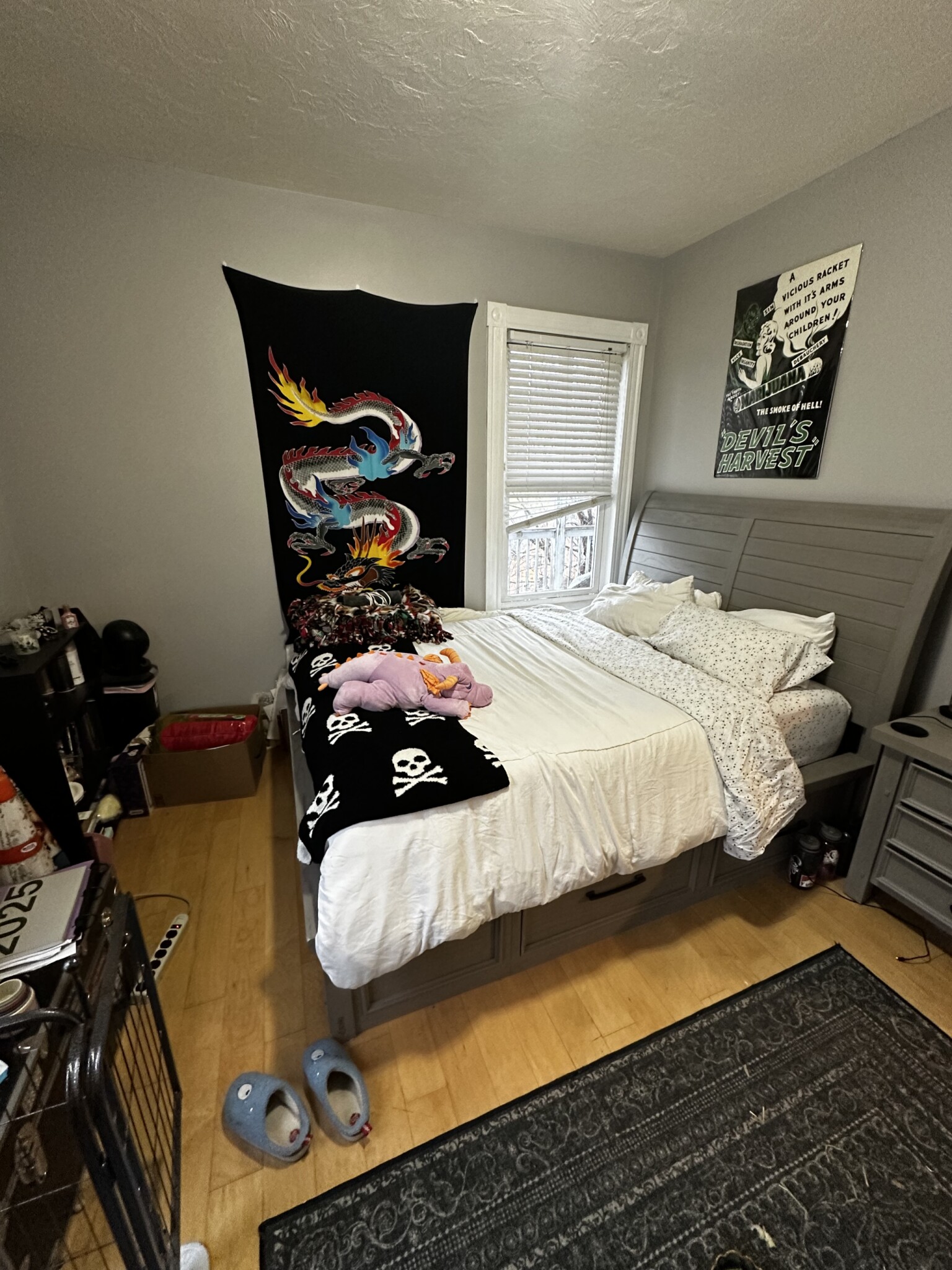 20 Lawn St, Mission Hill