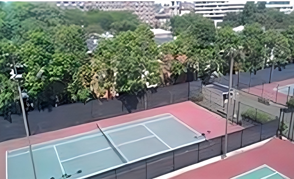 33 Pond Ave, Brookline Village