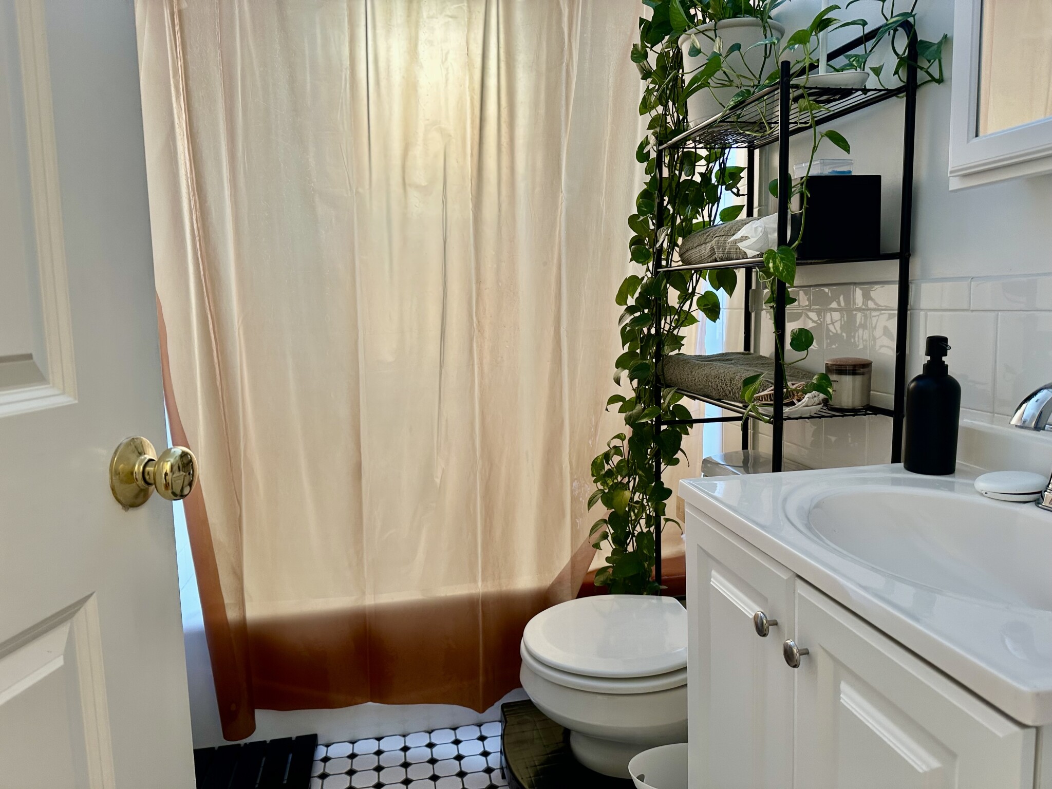 4 Park Vale Ave, Allston