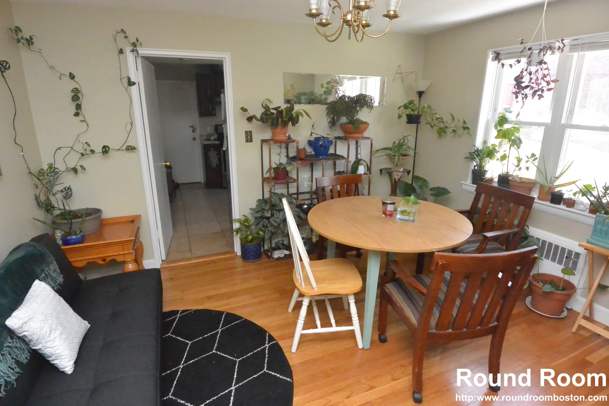 271 Corey Rd, Brighton