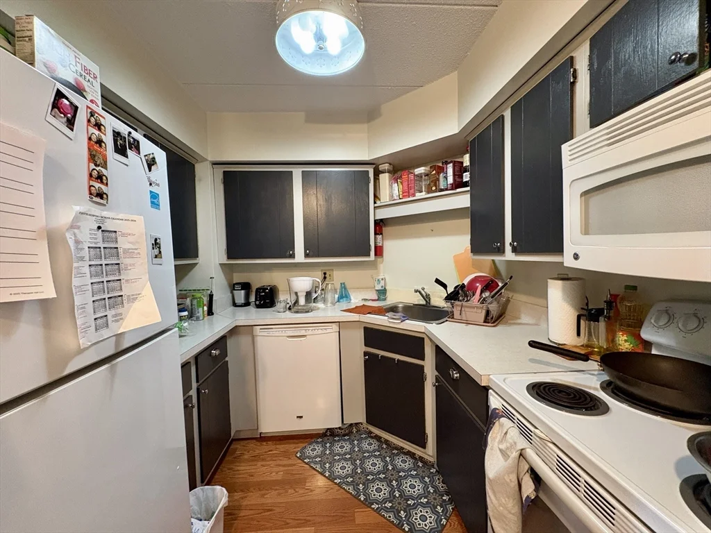 125 Pleasant St, North Brookline