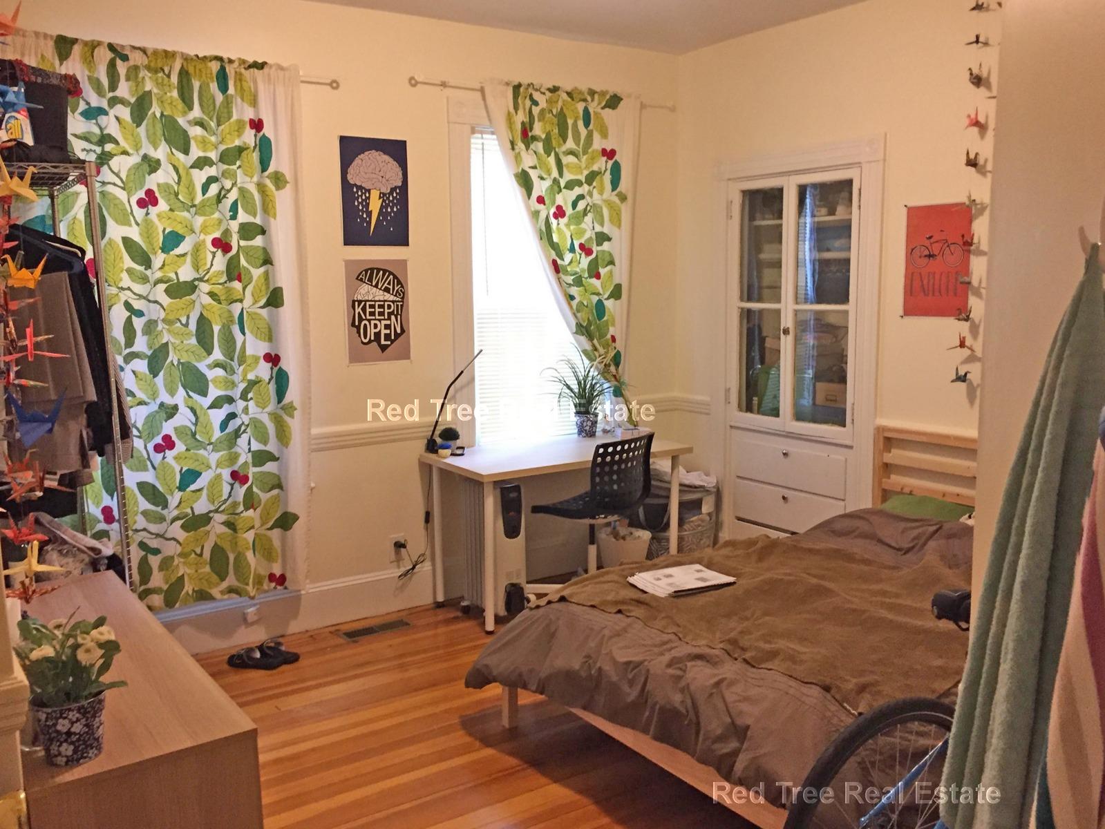 10 Bucknam St, Mission Hill