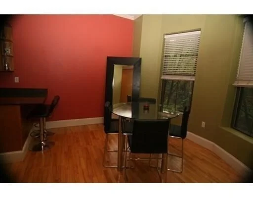 43 E Springfied, South End