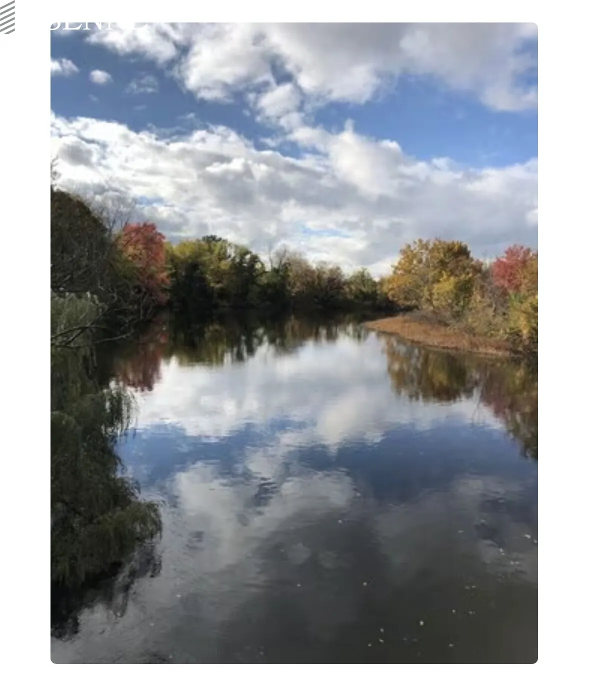 50 Aldrich Rd, Downtown