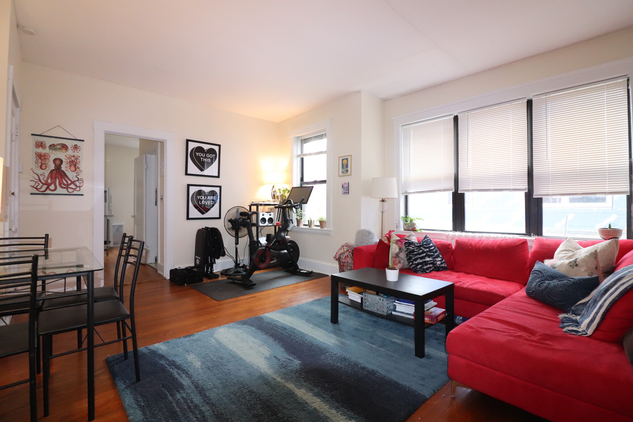 124 Babcock St, North Brookline