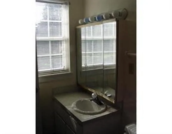 1203 Windsor, Framingham