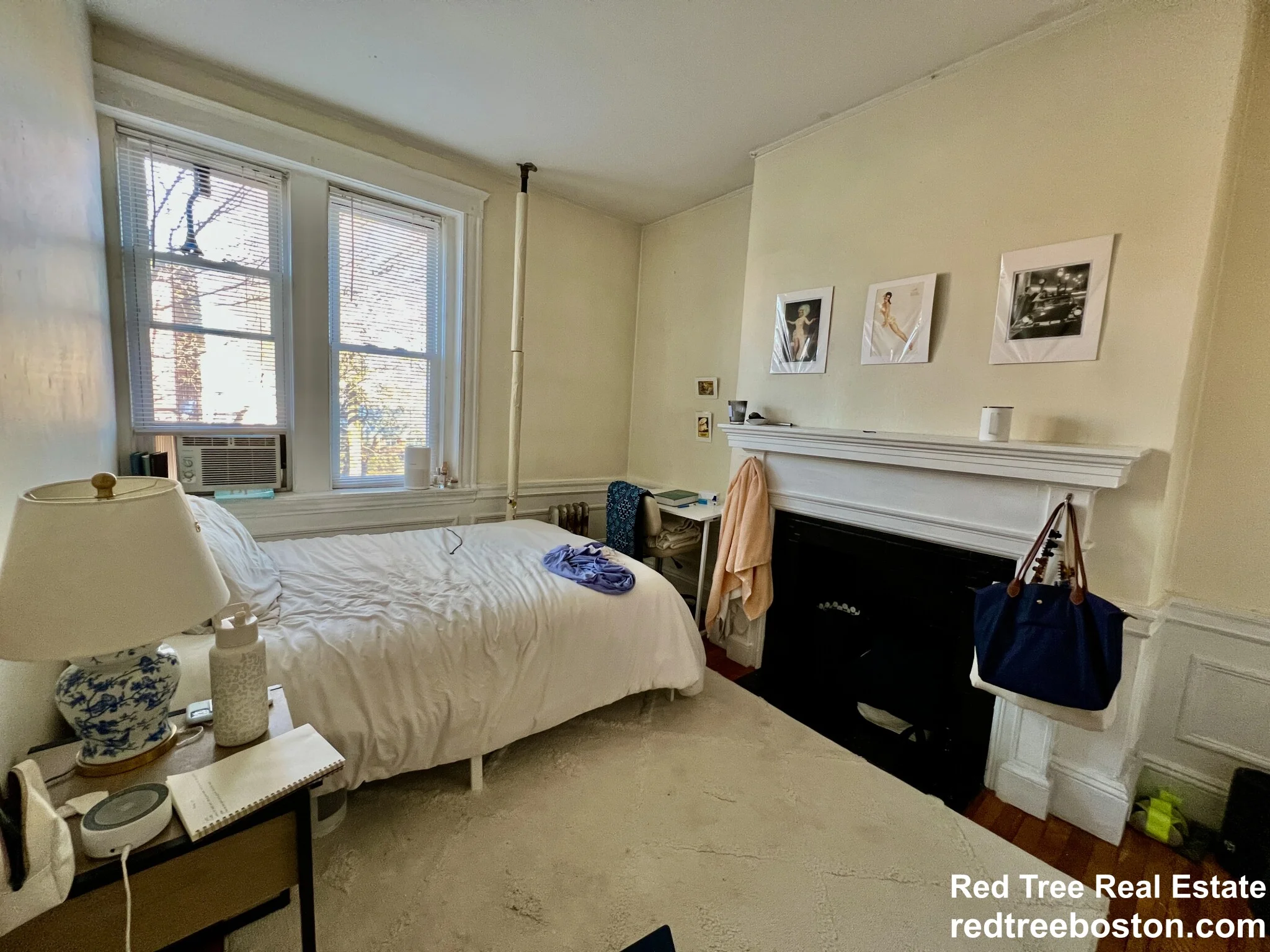 62 Egmont St, North Brookline