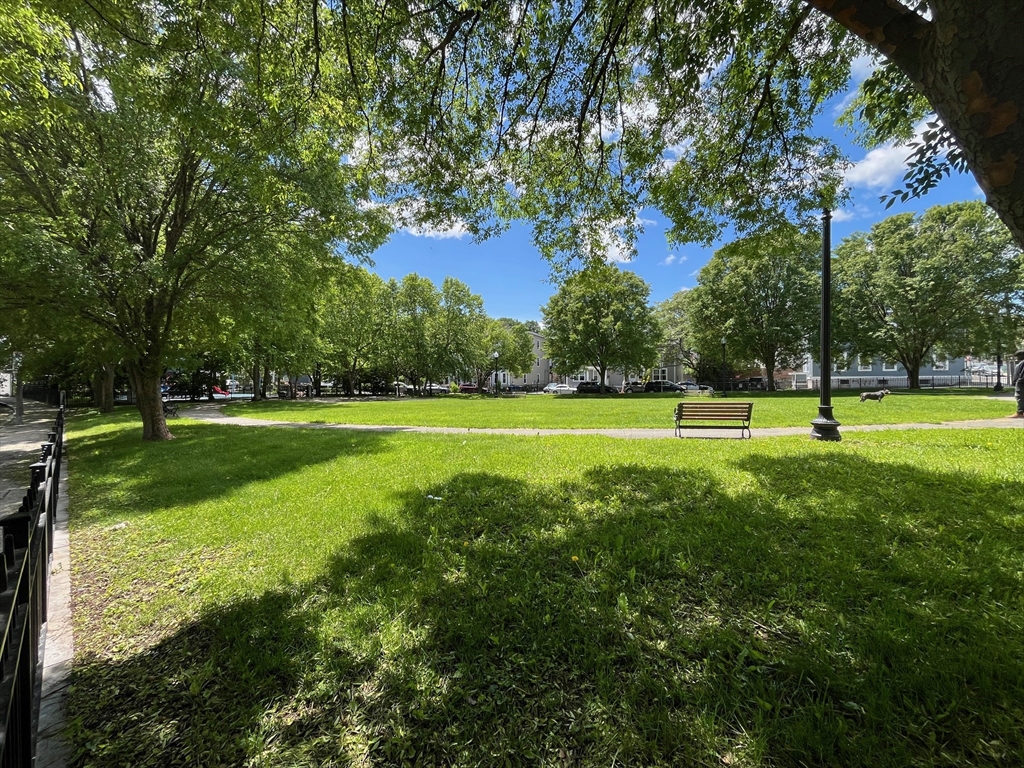 2 Woodville Park, Roxbury