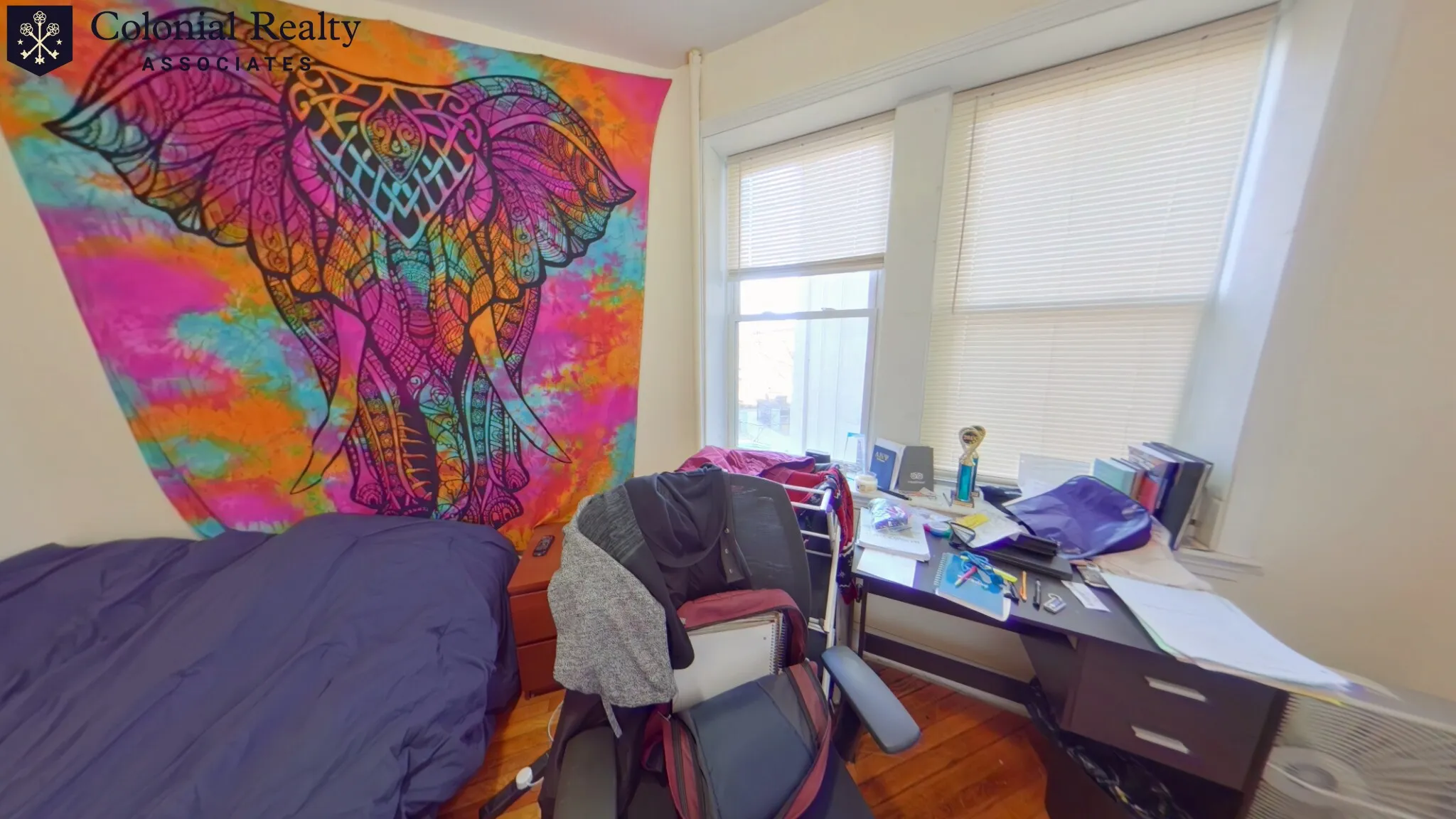 56 Egmont St, North Brookline