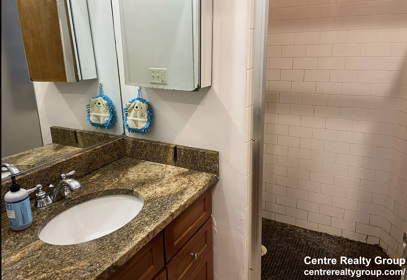 64 Louis Prang St, Longwood