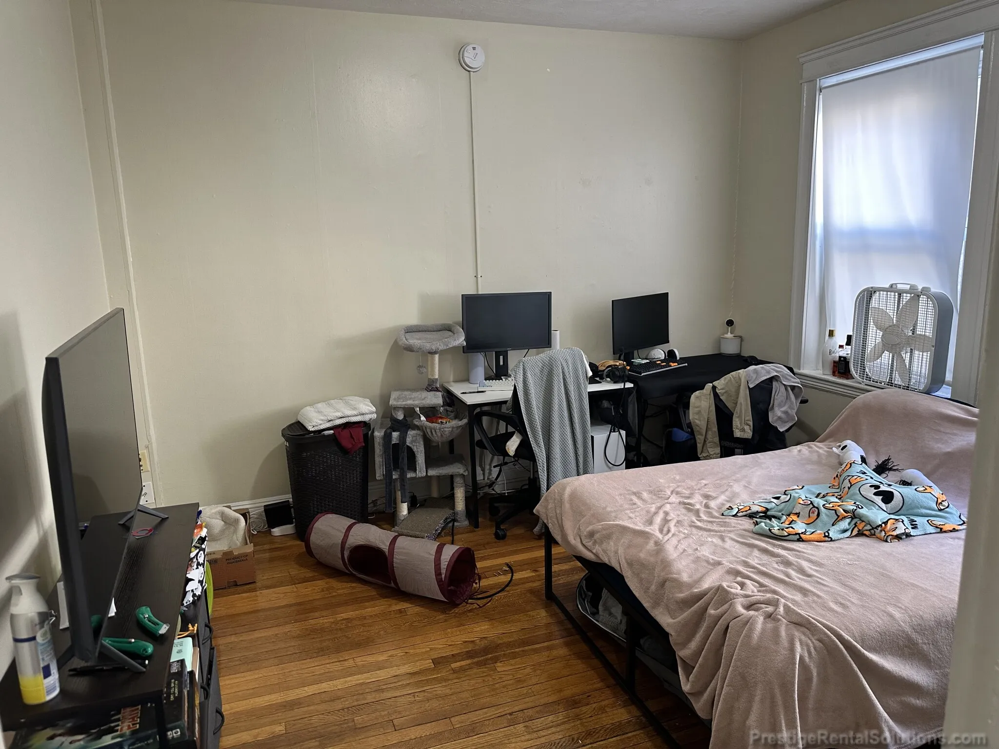 225 Kelton St, Allston