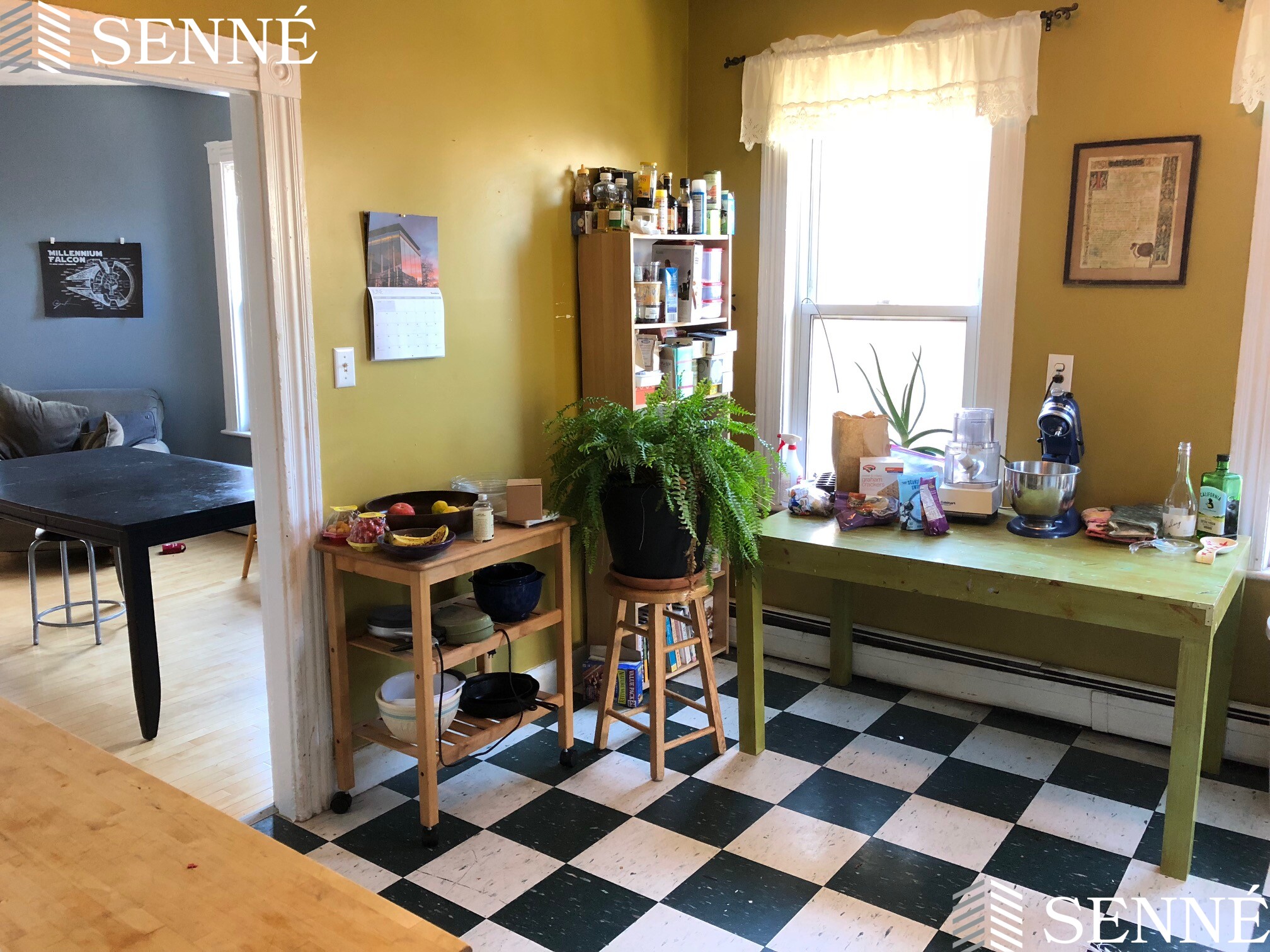 11 Thorndike St, Davis Square