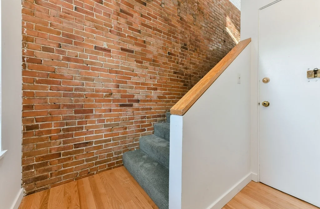 101 W Springfield St, South End