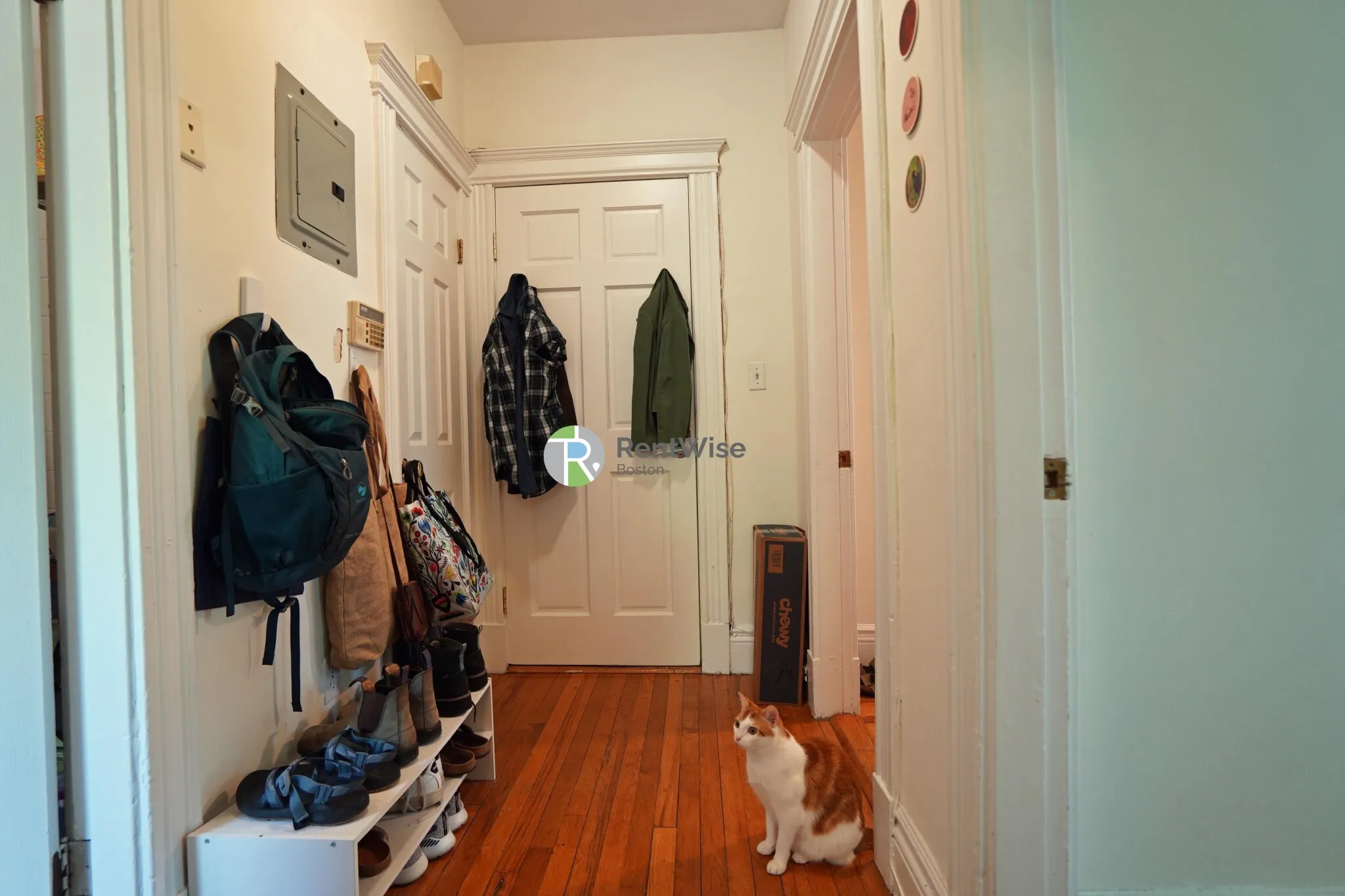 6 Camelot Ct, Brighton