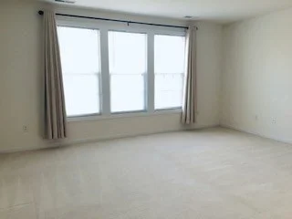 46 Tulip Cir, Grafton