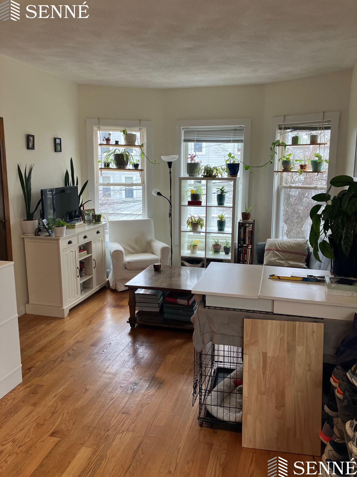 19 Linden Ave, Spring Hill