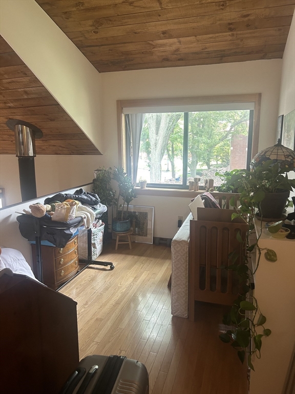 11 Lilac, Wellington-Harrington