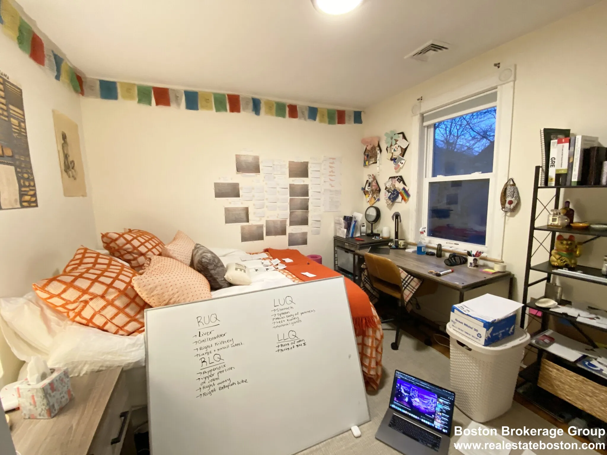 5 Oswald St, Mission Hill