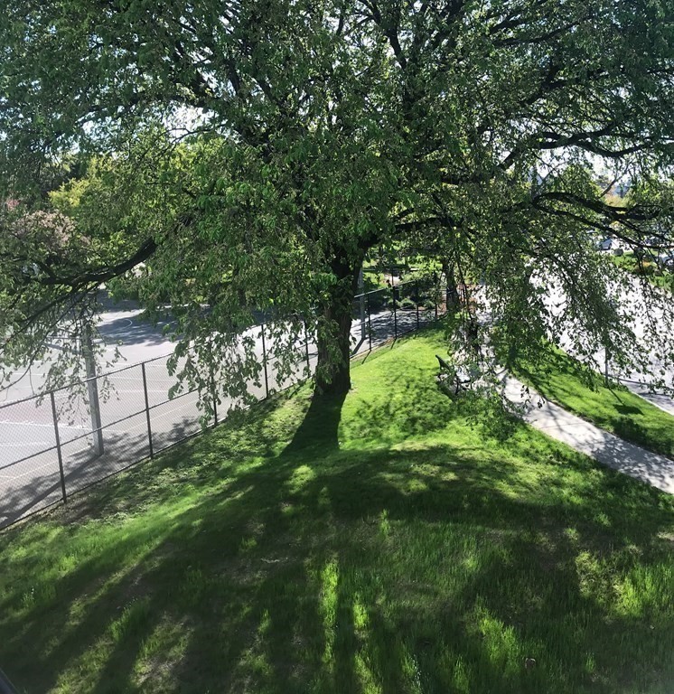 262 Monsignor Obrien Hwy, East Cambridge