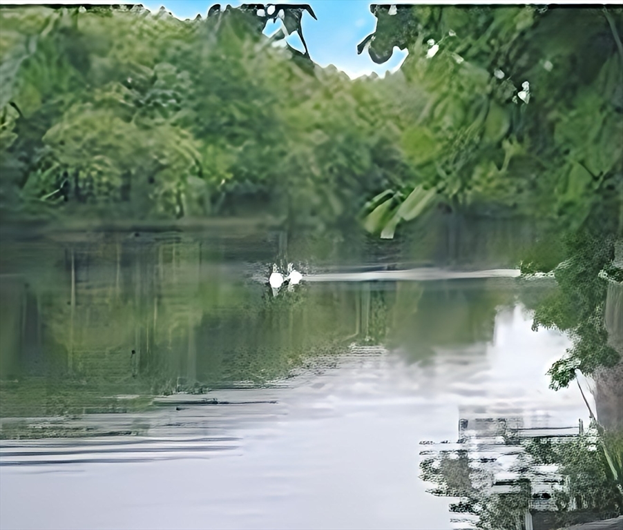 33 Pond Ave, Brookline Village