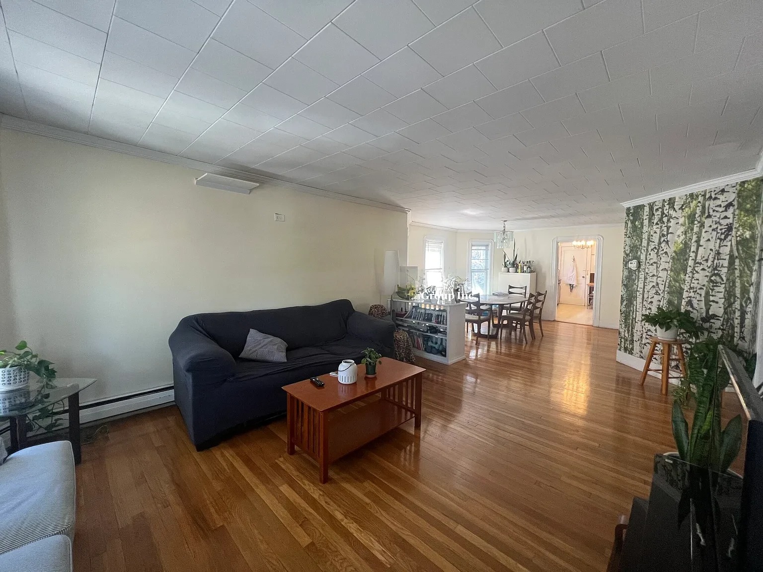 33 Winslow Ave, Davis Square