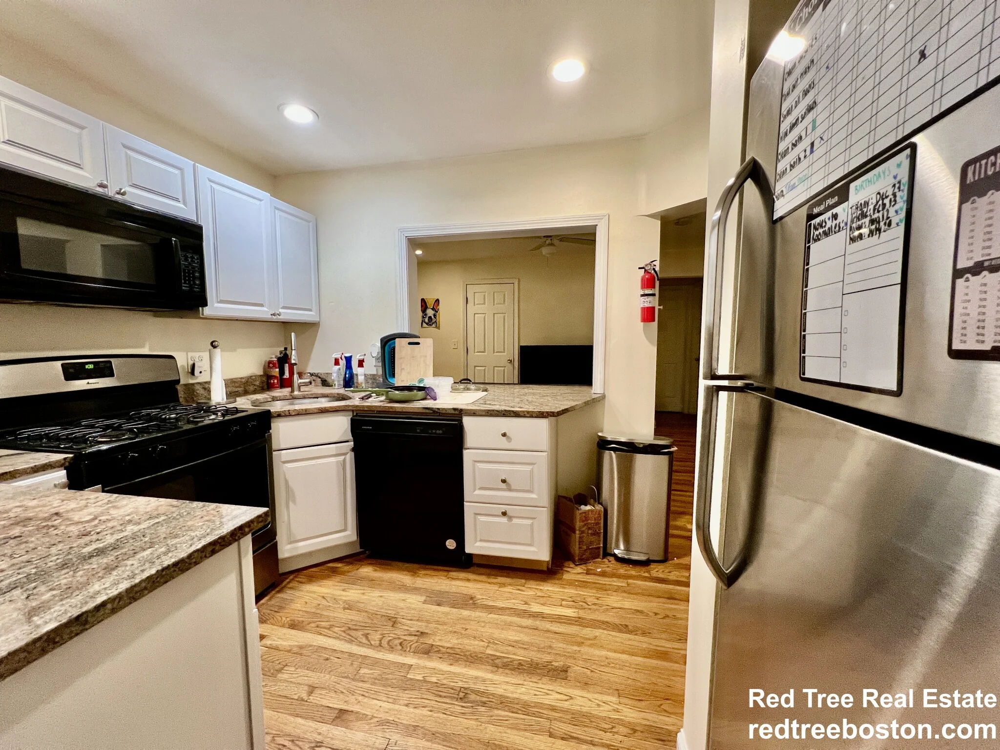 62 Egmont St, North Brookline