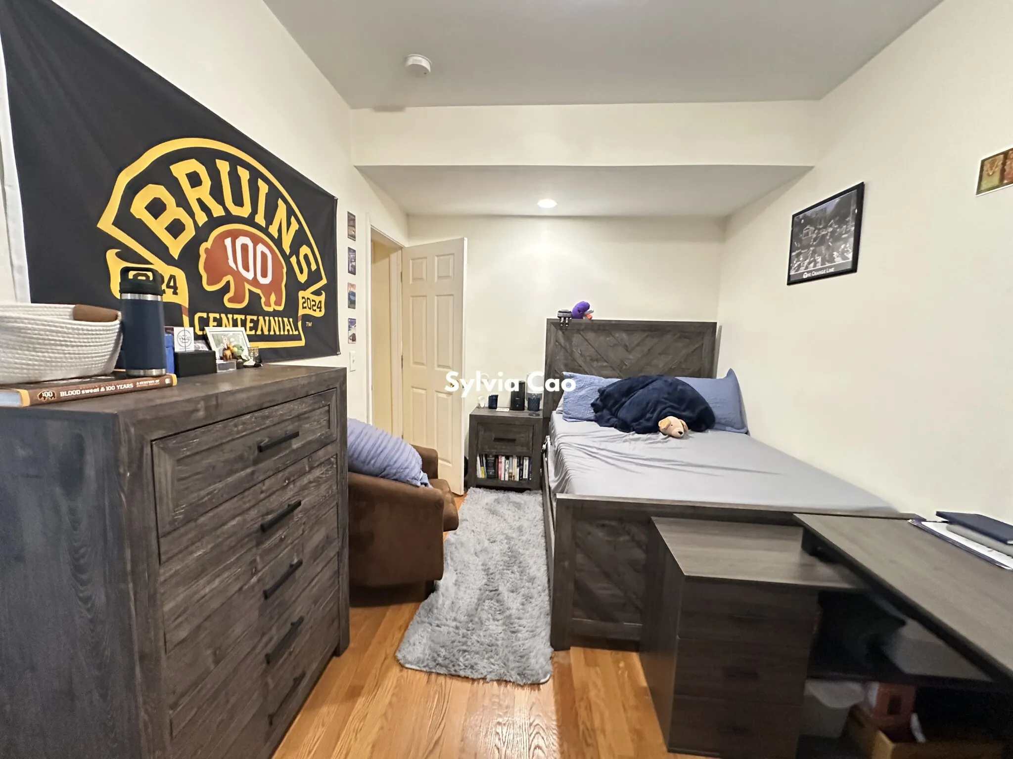 56 Egmont St, North Brookline